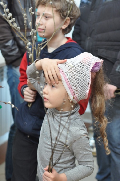 DSC_0207.jpg