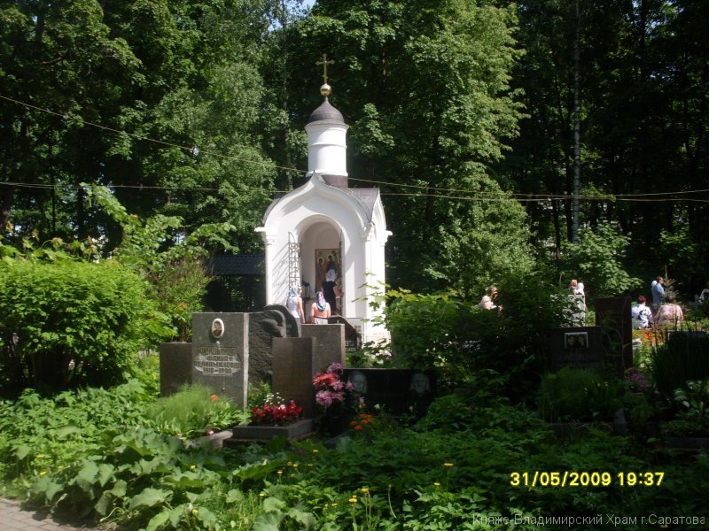 sdc12303.jpg