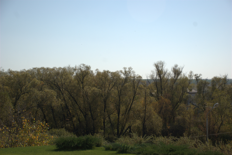 DSC_0799.jpg