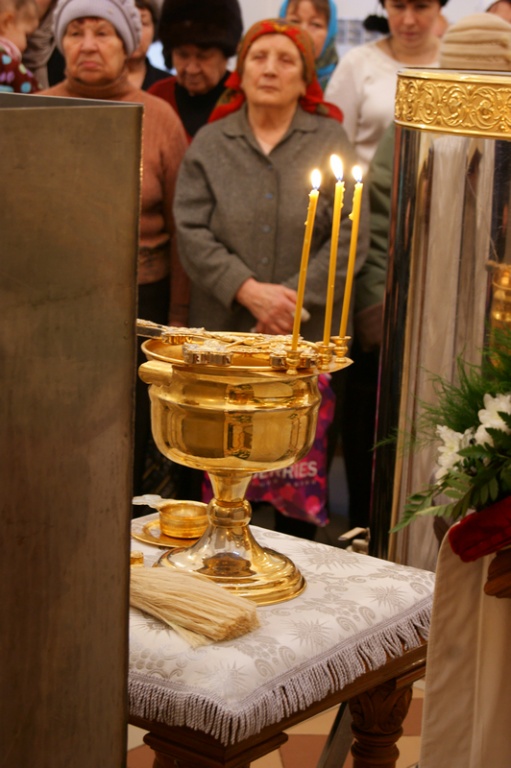 DSC09139.jpg