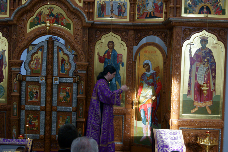 DSC09835.jpg