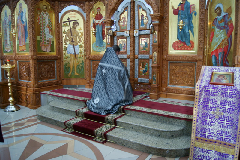 DSC09844.jpg