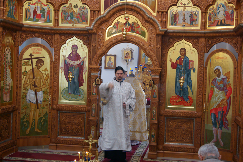 DSC00088.jpg