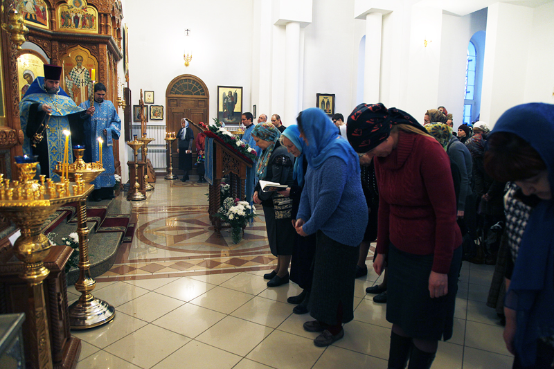 _MG_9752.JPG