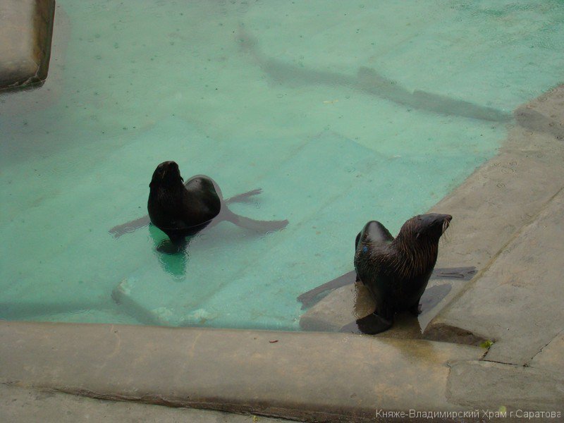 image00225.jpg